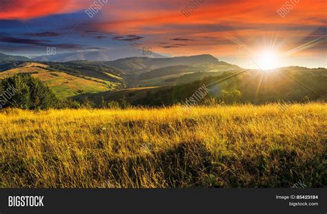 Meadow Tall Grass Image And Photo Free Trial Bigstock