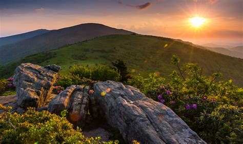 Online Crop Hd Wallpaper Roan Mountain Appalachian Mountains