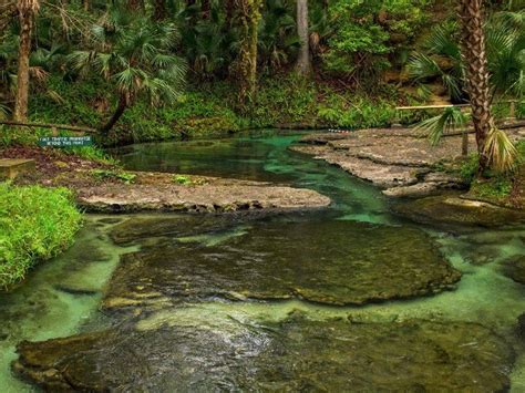 this natural lazy river in florida is the perfect weekend escape florida springs rock springs