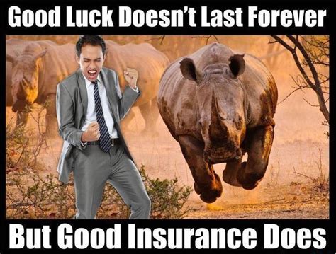 A place for all your memes about life insurance. Insurance Meme - Funny Happy Birthday Memes 2019 | Insurance meme, Life insurance policy, Health ...