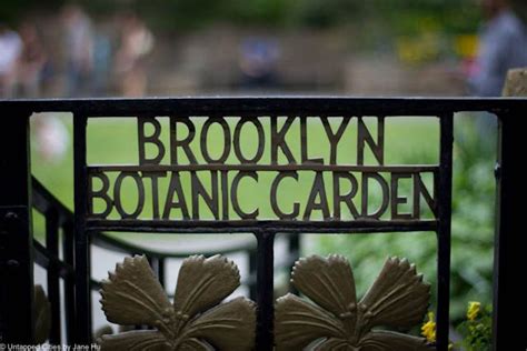 Catch The Cherry Blossoms At Brooklyn Botanic Garden Brooklyn