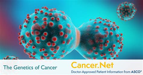 The Genetics Of Cancer Cancernet