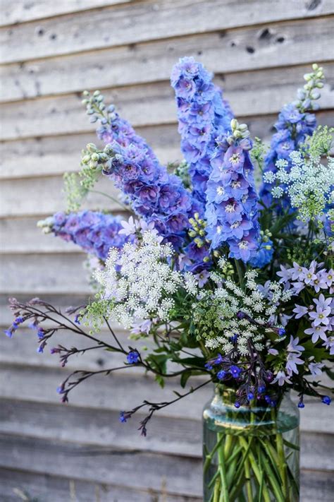 June 2014 Delphinium Flowers Blue Flower Arrangements Delphinium