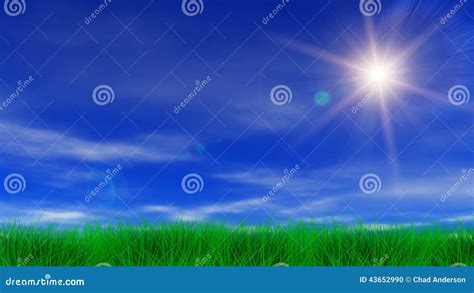 Sun Green Grass And Blue Sky Stock Footage Video Of Grass Field 43652990