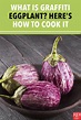 Viola Family: How To Make Eggplant Less Bitter