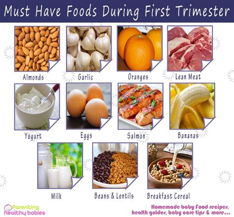 Must Have Foods During First Trimester
