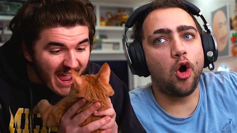 Schlatt Shows Me His New Cat Youtube