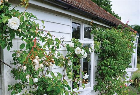 We did not find results for: Wittersham log cabin with 2 bedrooms | FlipKey