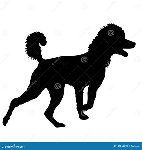 Poodle Dog Silhouette On A White Background Stock Vector Illustration
