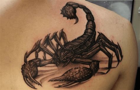 Scorpion Tattoos With Their Meanings Explained Tattoos Win My Xxx Hot