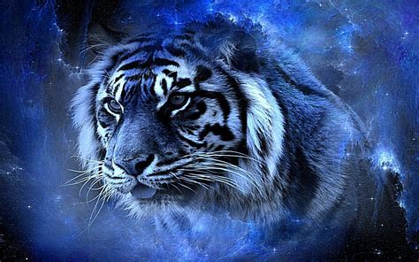 Download 37 Wallpaper Iphone Blue Tiger Foto Viral Postsid