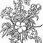 Detailed Flower Coloring Pages Printable