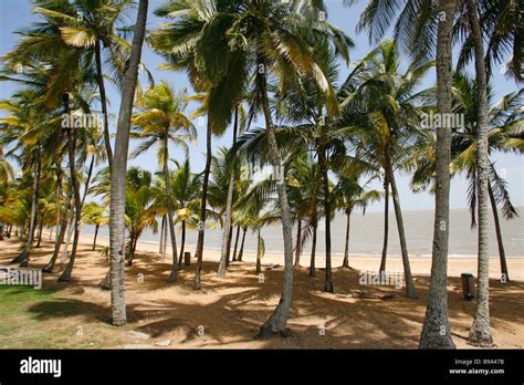 A Beach In Cayenne French Guiana Site Of The Kourou Space Center Stock