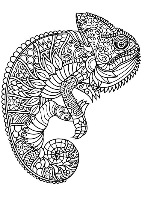 Explore 623989 free printable coloring pages for your kids and adults. Free book chameleon - Chameleons & lizards Adult Coloring ...