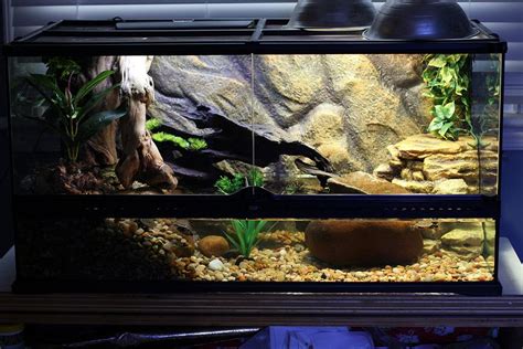 40 Gallon Breeder Tank Reptile Wese Aquarium Fish