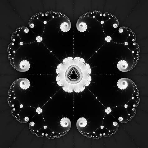 Black And White Decorative Mandelbrot Fractal Square Format Digital Art