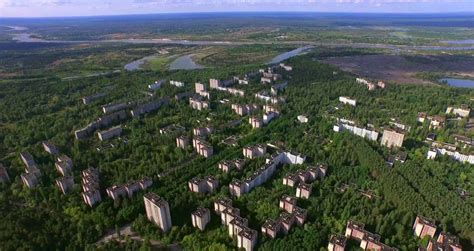 Chernobyls Exclusion Zone Is Now A Wildlife Refuge And Biodiversity
