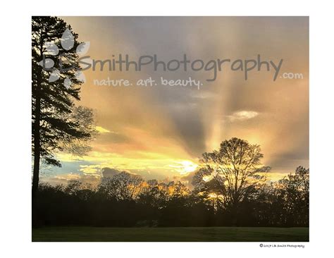 final farewell, part one - L.B. Smith Photography