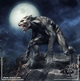 Der Werwolf – Archetyp einer Bewusstseinserfahrung | Inana