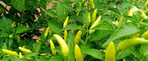 Careers – Equator Kenya