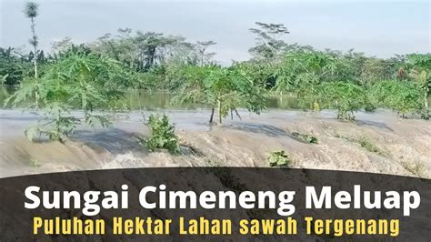 Sungai Cimeneng Meluap Puluhan Hektar Sawah Tergenang Youtube