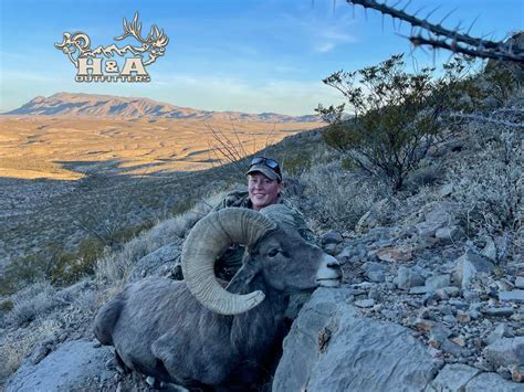 New Mexico Bighorn Sheep Hunts Big Horn Sheep Hunting Guides