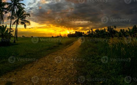Rural Empty Road At Dusk Countryside Sunset Landscape 21701380 Stock