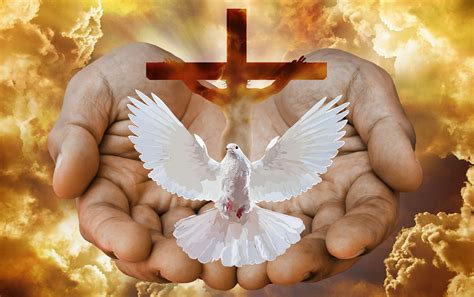 Dove Cross Hands Free Photo On Pixabay Pixabay