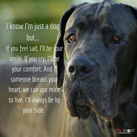 Dog Quotes Dogs Dog Love