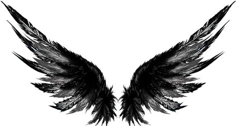 Download Icarus Wing Tattoo Hd Transparent Png
