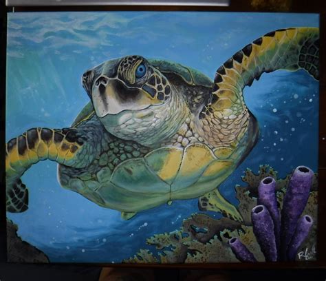 I Painted This Green Sea Turtle Acrylic On Canvas Visit