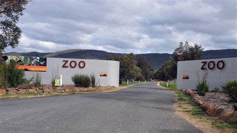 Northern Grampians Supports Halls Gap Zoo Plan To Become Leading