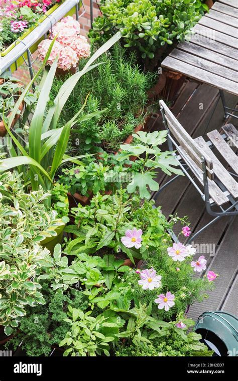 Various Flower Growing On Balcony At Hi Res Stock Photography And