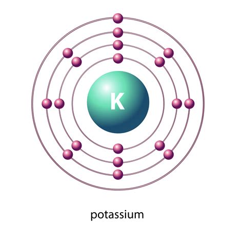 Potassium Neuroneeds