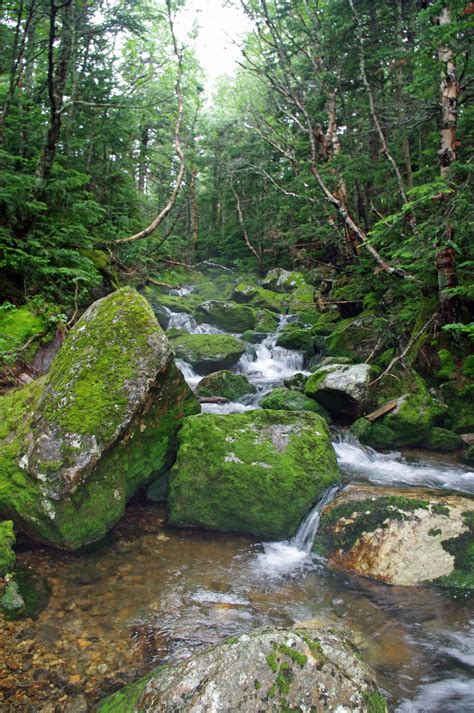 Six Sensational Wilderness Areas In New England The Boston Globe