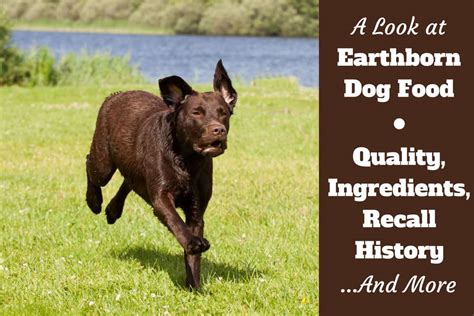 Earthborn make some decent foods, and i believe this is one of the best. Earthborn Dog Food Reviews, Ingredients, Recall History ...