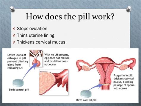 Now we're ready to answer the right question. How Does Birth Control Pills Work? Birth Control Pill ...
