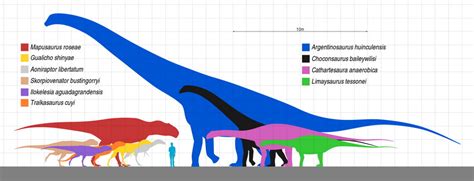Magical Thinking In Sauropod Evolution Footwork Ceh