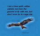 Images For > Free Spirit Quotes