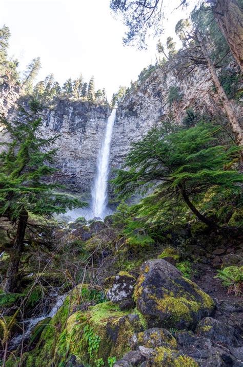 Oregon Umpqua National Forest Rogue Umpqua Scenic Byway Watson Falls