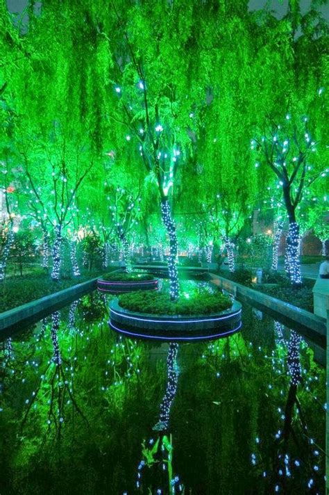 Magical Forest In Shanghai I Have Not Been To Shanghai