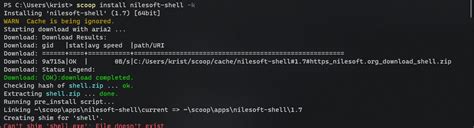 Scoop Can T Shim Shell Exe For Nilesoft Shell Issue 8971