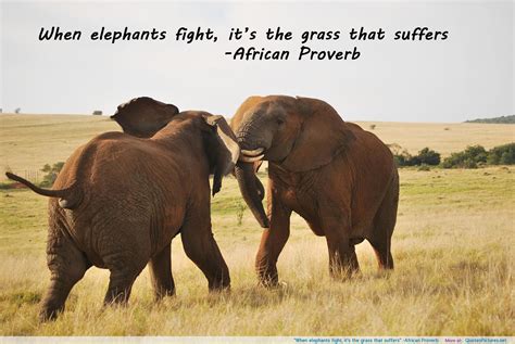 Quotes About Friendship And Elephants Quotesgram