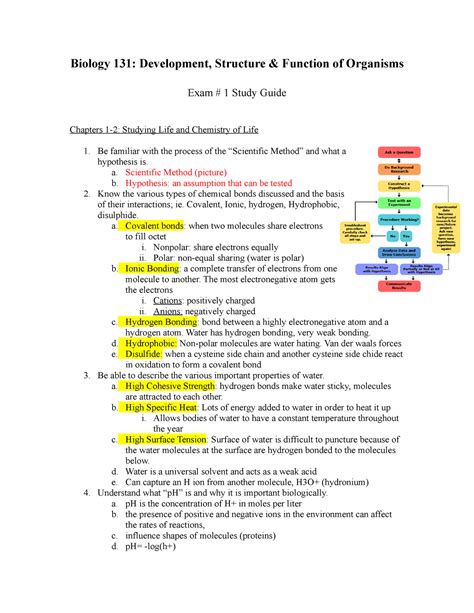 Biology 131 Exam 1 Study Guide 2019 V2 3193 Biology 131