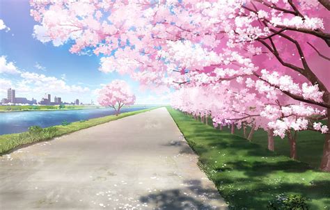 The City River Spring Sakura Section арт Nature Spring Anime Hd