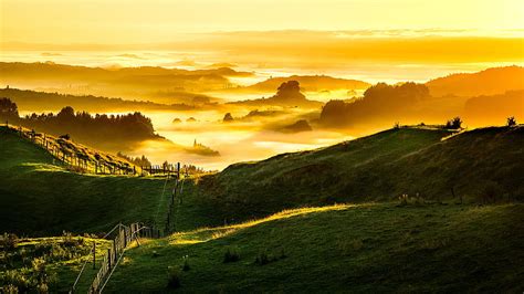 New Zealand Sunrise Golden Hour Field Foggy Landscape Hd