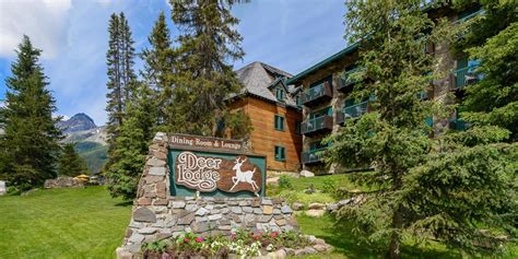 Deer Lodge Lake Louise Updated 2021 Prices 90a