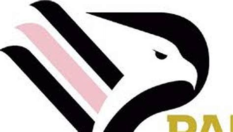 Rosa, presidente, stadio, calciatori e statistiche della squadra palermo. Palermo calcio, assegnato il titolo - Sport - TGR Sicilia