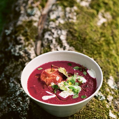 Beetroot Soup Recipe With Celery And Apple
