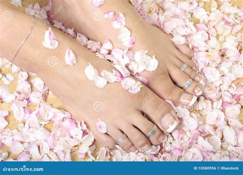 Woman S Feet And Rose Petals Stock Photo Image Of Therapeutic Feet